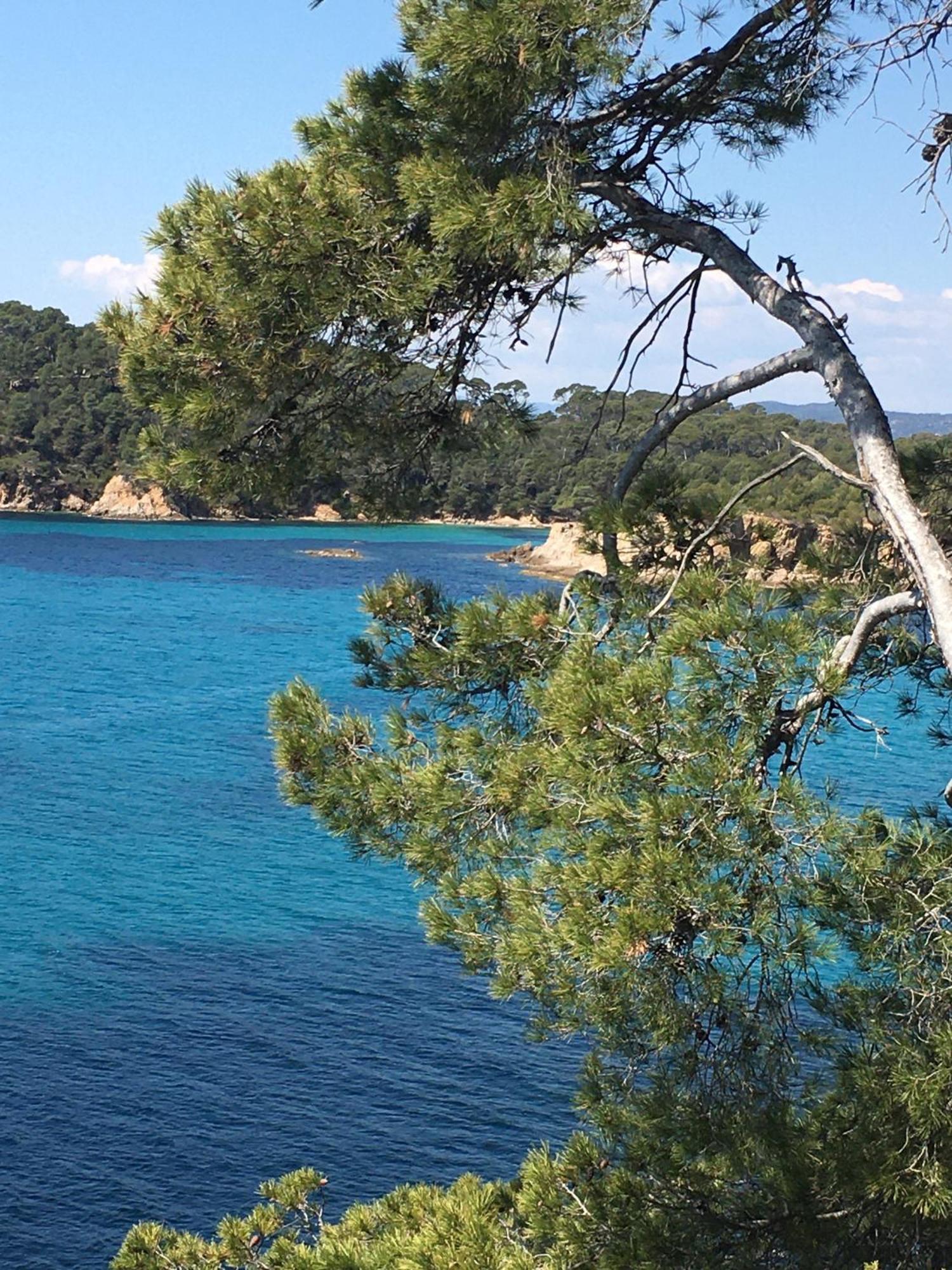 Appartement T3 Lumineux Traversant Totalement Neuf En Face De La Plage Front De Mer Vue Sur Les Iles Vue Mer Panoramique Assuree Residence De La Plage Centre Ville Du Lavandou 3Eme Etage Avec Ascenseur Appartement T3 Le Lavandou Extérieur photo